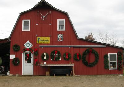 Werner Tree Farm