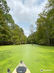 Merchants Millpond State Park