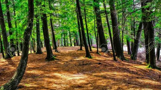 Ludington State Park Beach