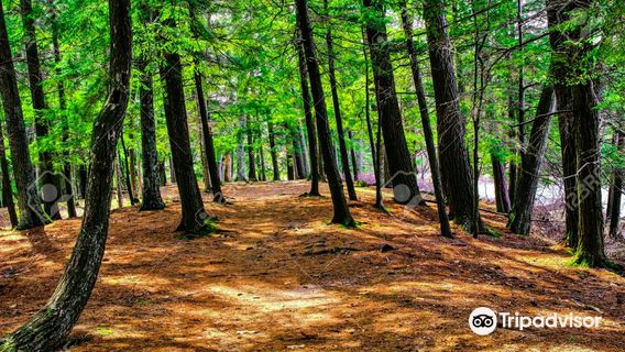 Ludington State Park Beach