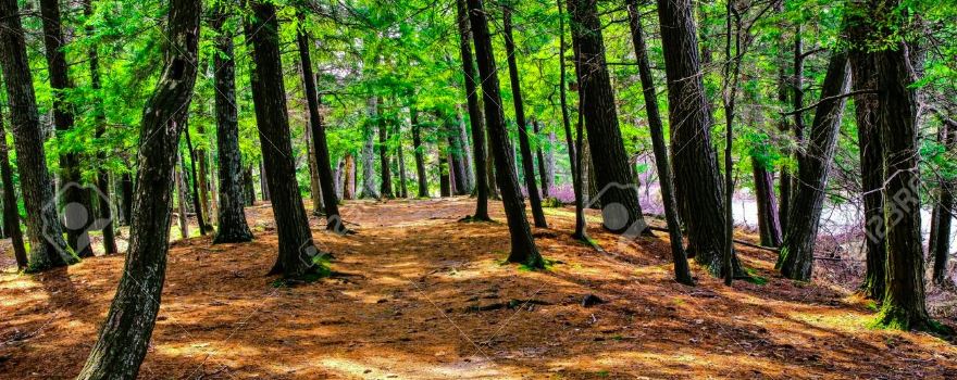 Ludington State Park Beach