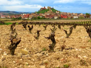 Bodega Contador