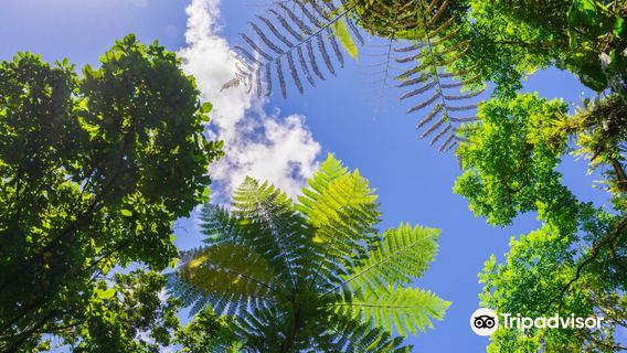 Parc des Mamelles, le Zoo de Guadeloupe