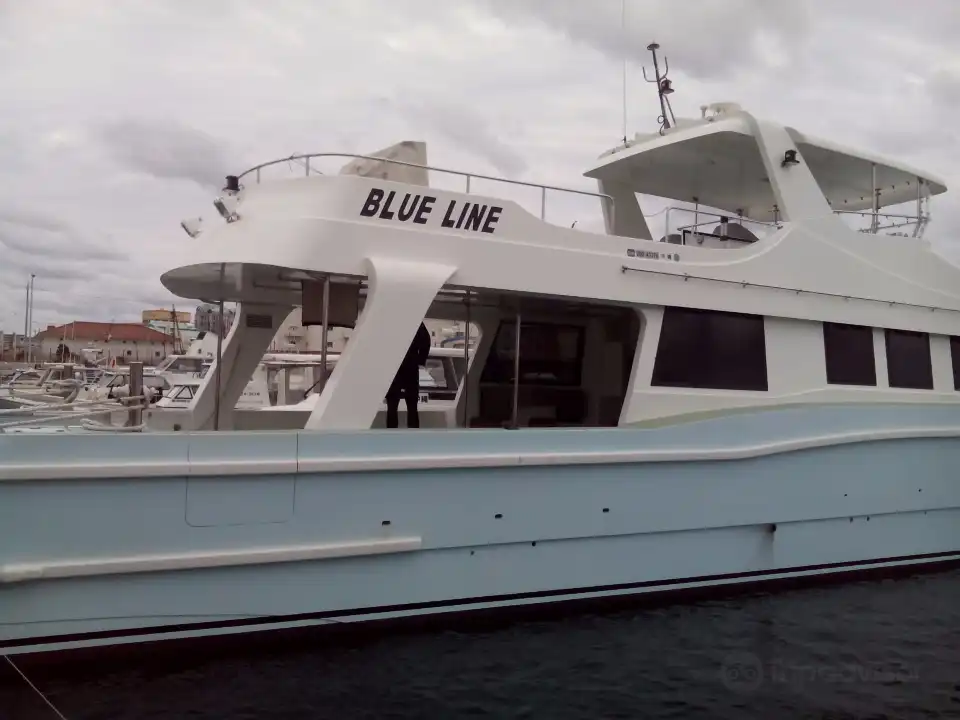 1_Blue Zone