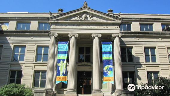 University of Iowa Museum of Natural History