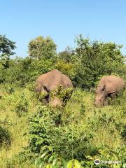 Afrizim Rhino Walk - Mosi Oa Tunya Park