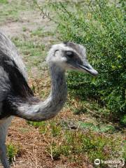 La Estacion de Cria de Fauna