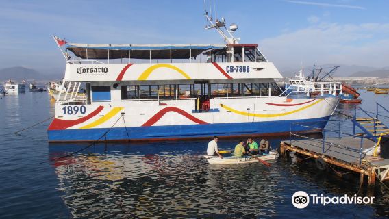 Puerto de Coquimbo