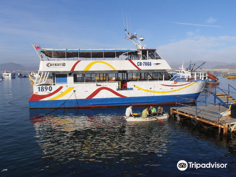 Puerto de Coquimbo
