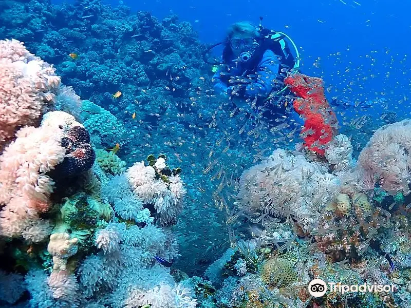 SUBEX Diving Center - Baron Palace