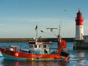 Haliotika - City of Fisheries