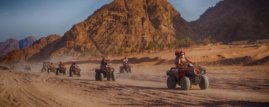 El Sherif Safari