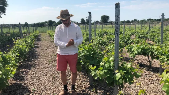 Vejby Vingaard Marani Wine Cellar