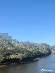 Tingalpa Creek Reserve