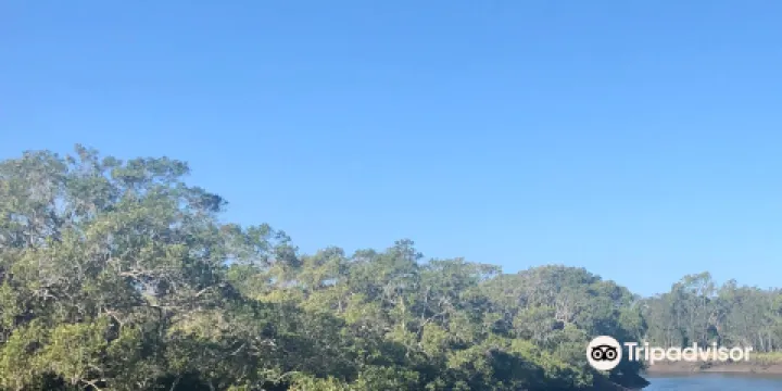 Tingalpa Creek Reserve