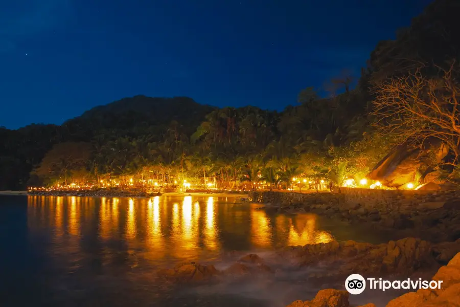 Rhythms of the Night by Vallarta Adventures