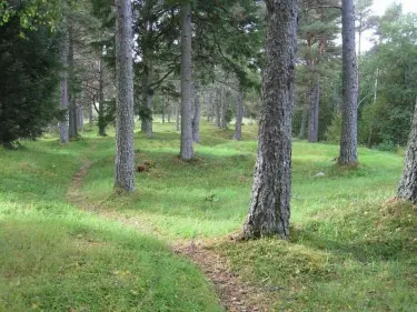 Afjord