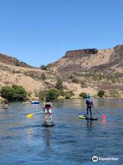 Stout Creek Outfitters