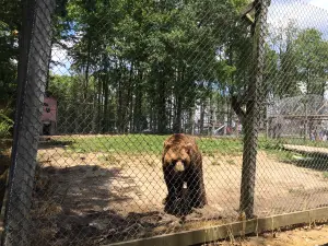 ホバターズ・ワイルドライフ動物園