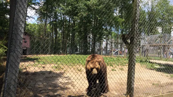 ホバターズ・ワイルドライフ動物園