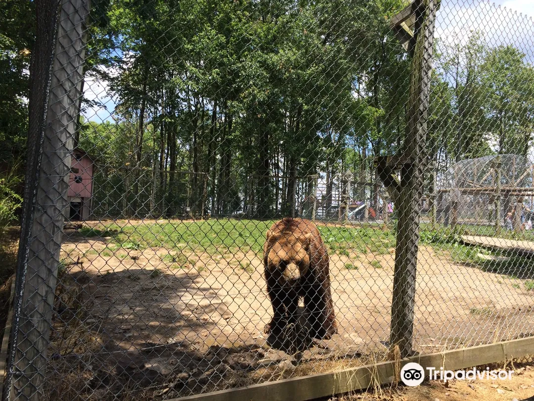 2_Hovatter's Wildlife Zoo