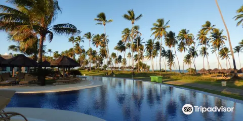 Acai & Saude - Praia do Forte