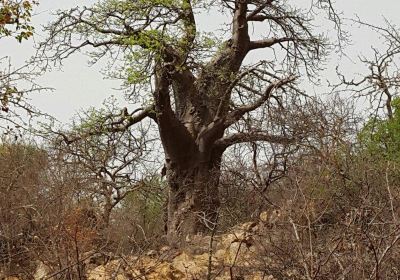 Musina Nature Reserve