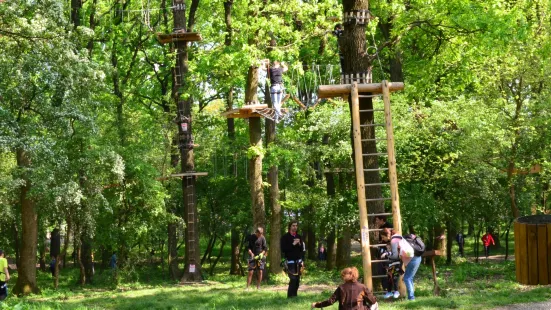 Extreme Park Cernica