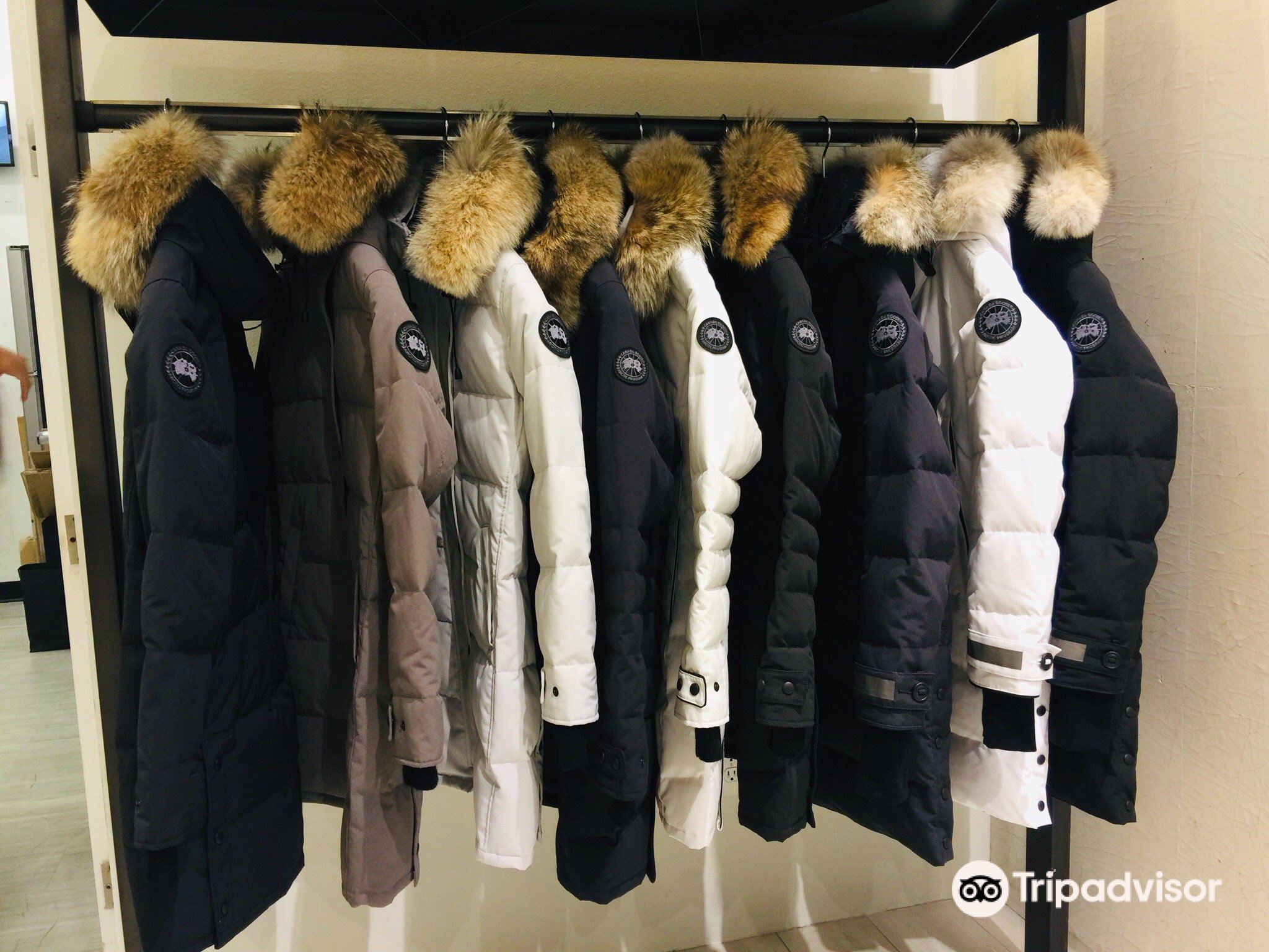 Canada goose outlet outlet helsinki