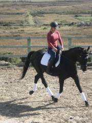 Calvey's Equestrian & Homestay Language Riding Centre