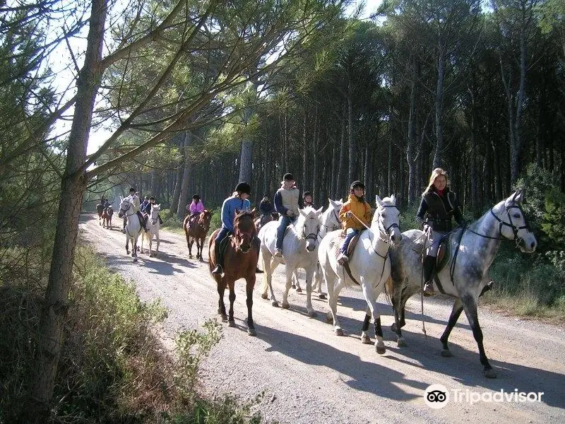 Hipica Begur Excursions a Caballo