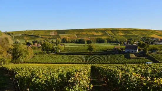 Domaine Philippe Raimbault