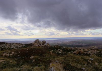 Duhok