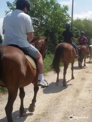 Paseos a Caballo La Robleda