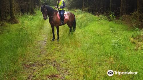 City of Derry Equestrian Centre