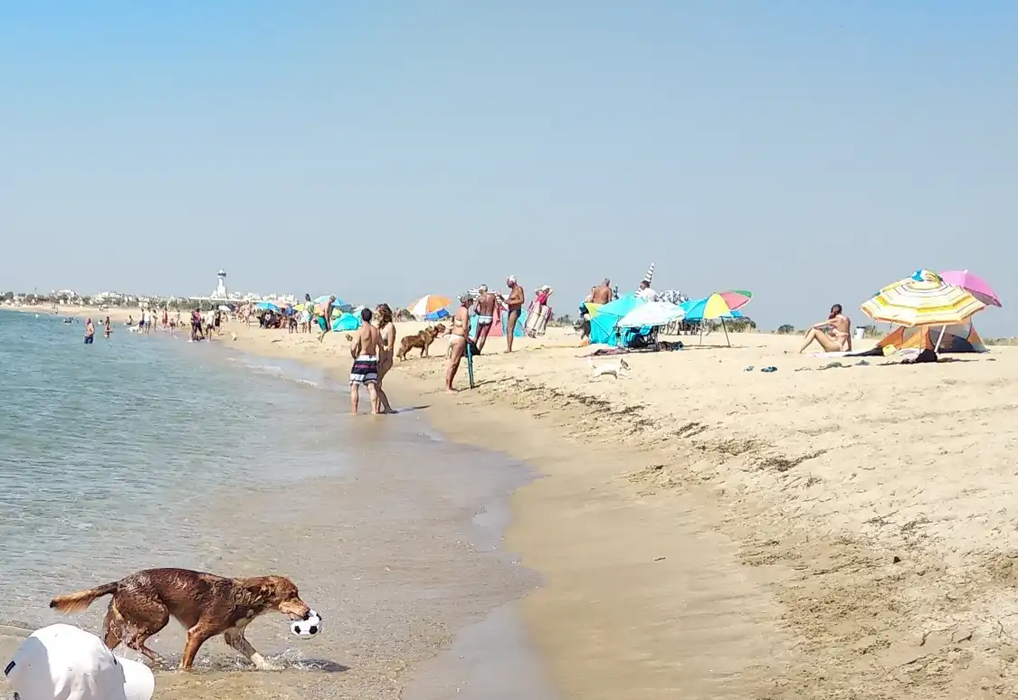 Hotels near Playa la Rubina
