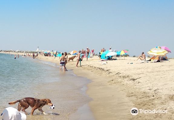 Platja de La Rubina