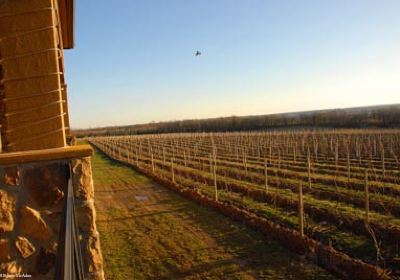 Seneca Lake Wine Trail