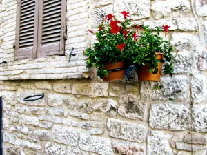 Via San Francesco