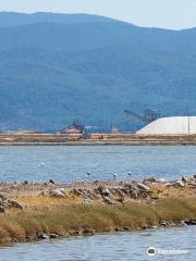 Kalloni Salt Pans