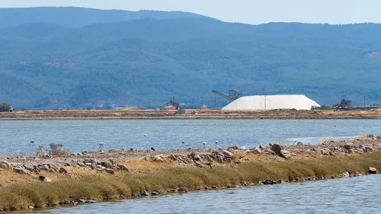 Kalloni Salt Pans