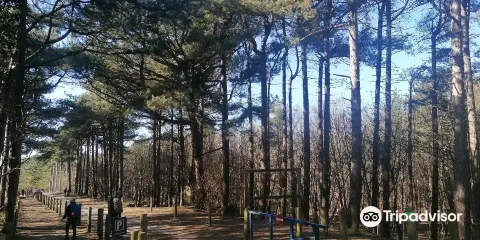 Freshfield Squirrel Reserve