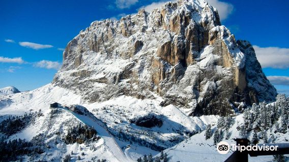 Selva di Val Gardena