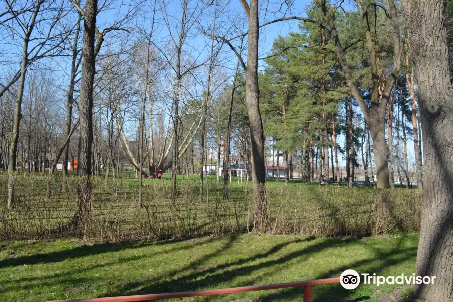 The Solnechny Ostrov (Sunny Island) Park