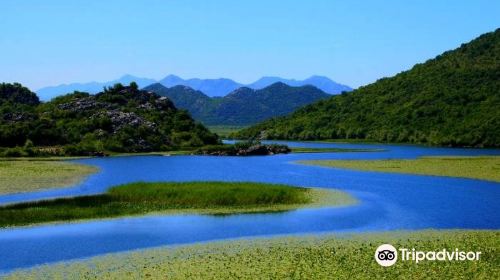 斯庫台湖