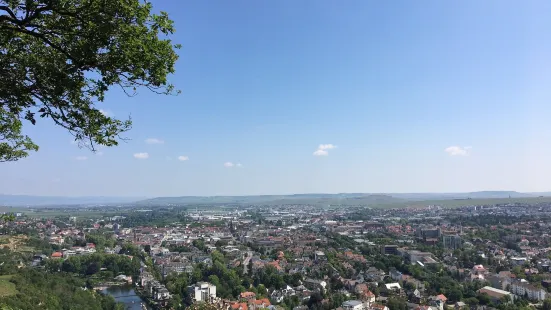 Rotenfels