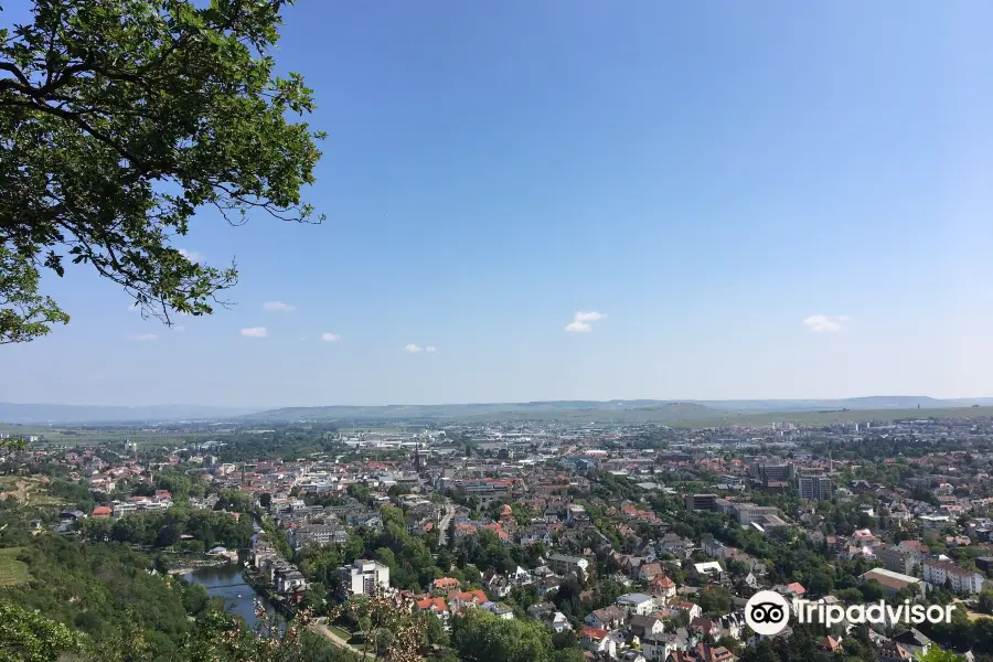 Rotenfels