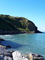 Cap Blanc-Nez