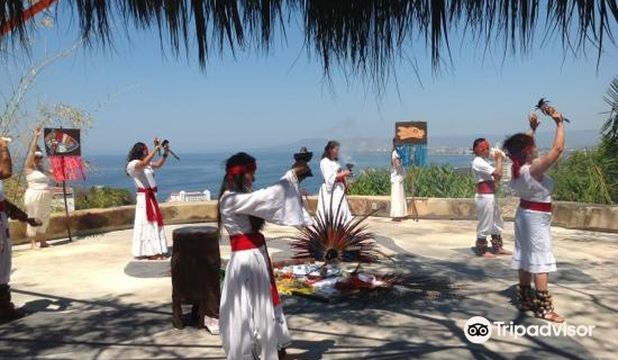 Terra Noble - Art & Healing Center