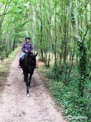 Corballis Farm Horse Trekking & Therapeutic Riding Centre